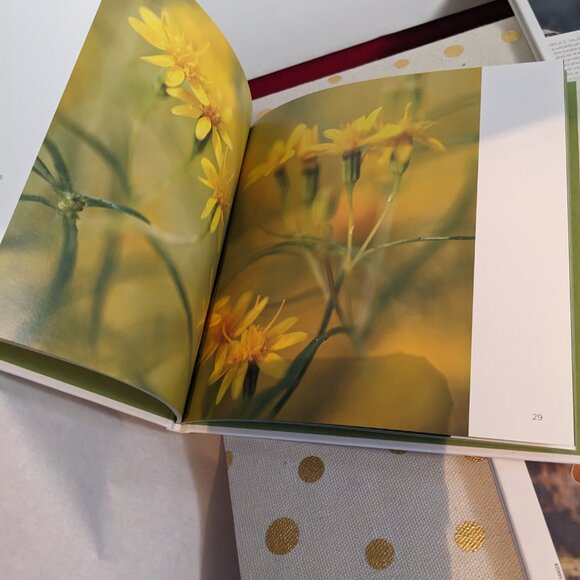 Set of 3 Arizona Highway Books - Picture 8 of 14